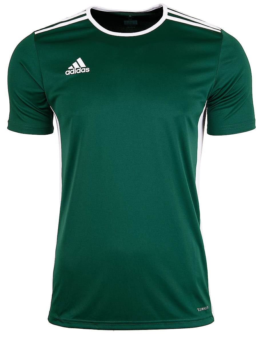 Vaikiški marškinėliai adidas Entrada 18 Jersey JUNIOR CE9563
