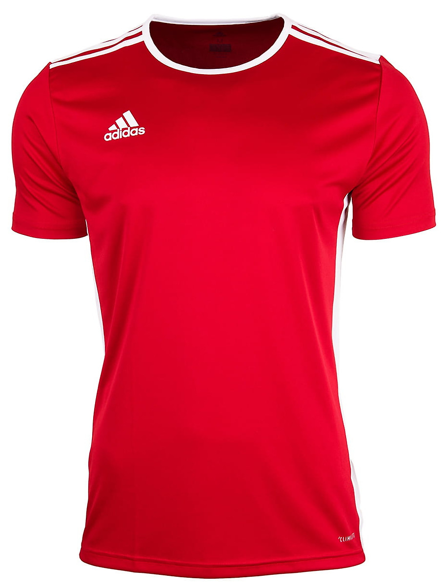 adidas Junior marškinėliai Entrada 18 CF1050