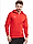 PUMA Bluza męska Team Goal Casuals Hooded 658595 01 produkto varianto nuotrauka