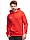 PUMA Bluza męska Team Goal Casuals Hoody 658618 01 produkto varianto nuotrauka