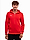 PUMA męska bluza teamGOAL 23 Casuals Hooded Jacket 656708 01 produkto varianto nuotrauka