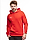 PUMA bluza męska teamGOAL 23 Causals Hoody 656580 01 produkto varianto nuotrauka