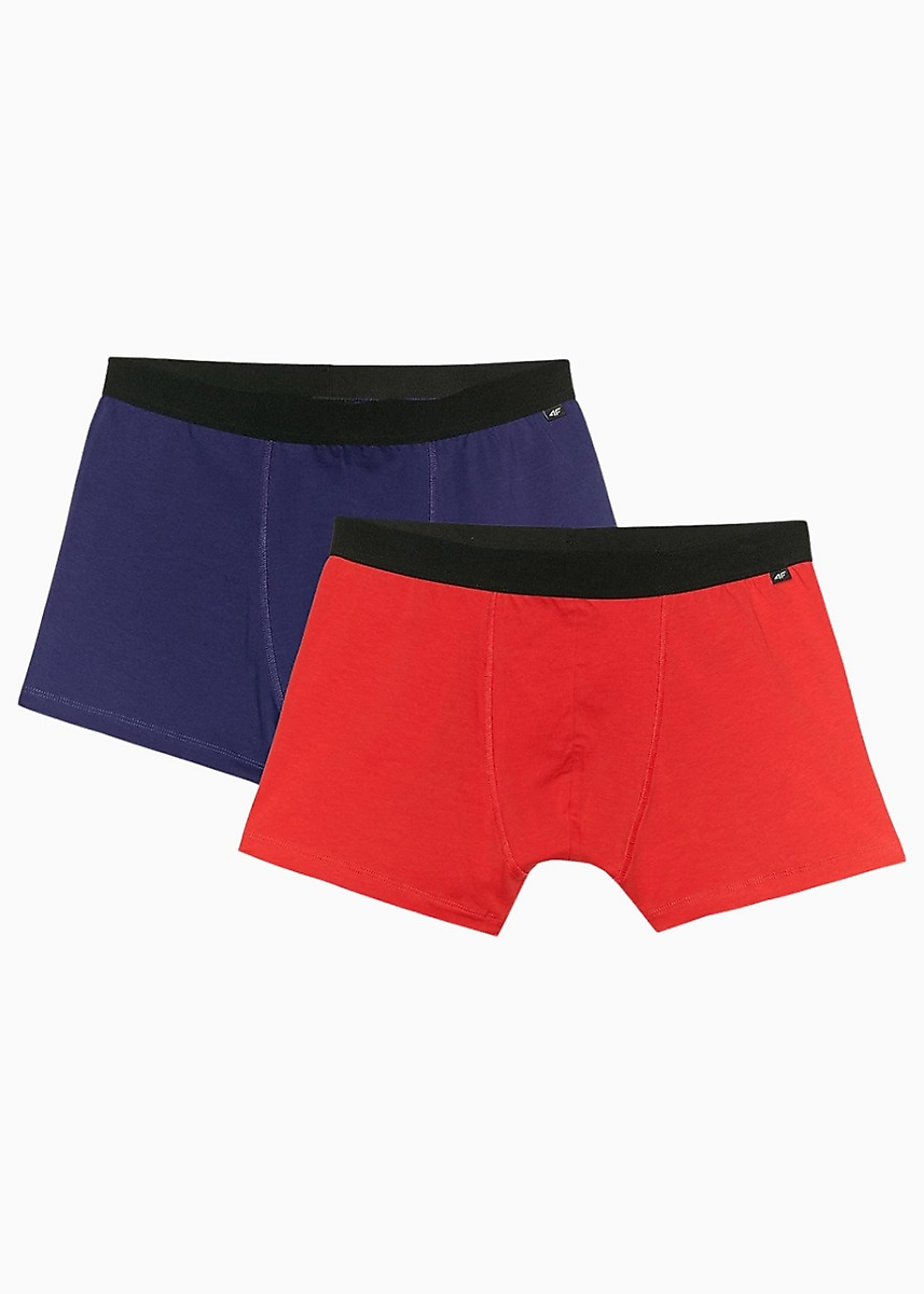 4F Vyriškos boxer trumpikės M059 2-pack 4FWMM00UBXSM059 91S