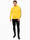 adidas Komplet męski Tiro 23 League Sweat Hoodie IC7850/HS3611 produkto varianto nuotrauka