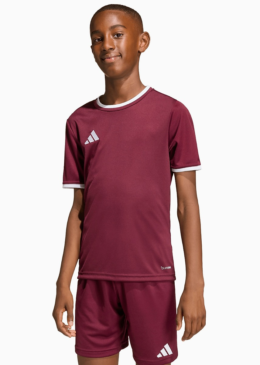 adidas Vaikiški marškinėliai Entrada 26 Jersey JZ2530