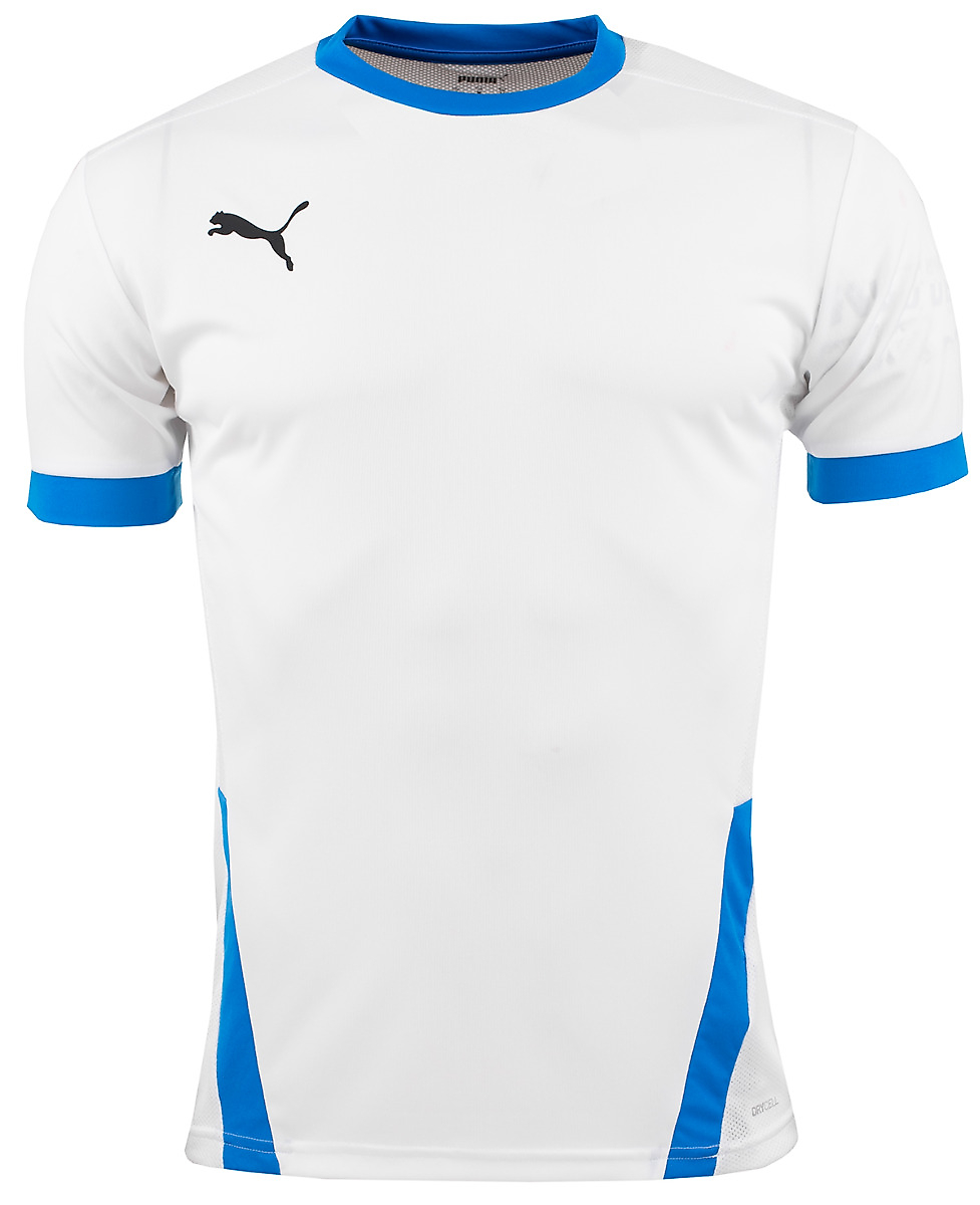 PUMA Koszulka dla dzieci  teamGOAL 23 Jersey 704160 12