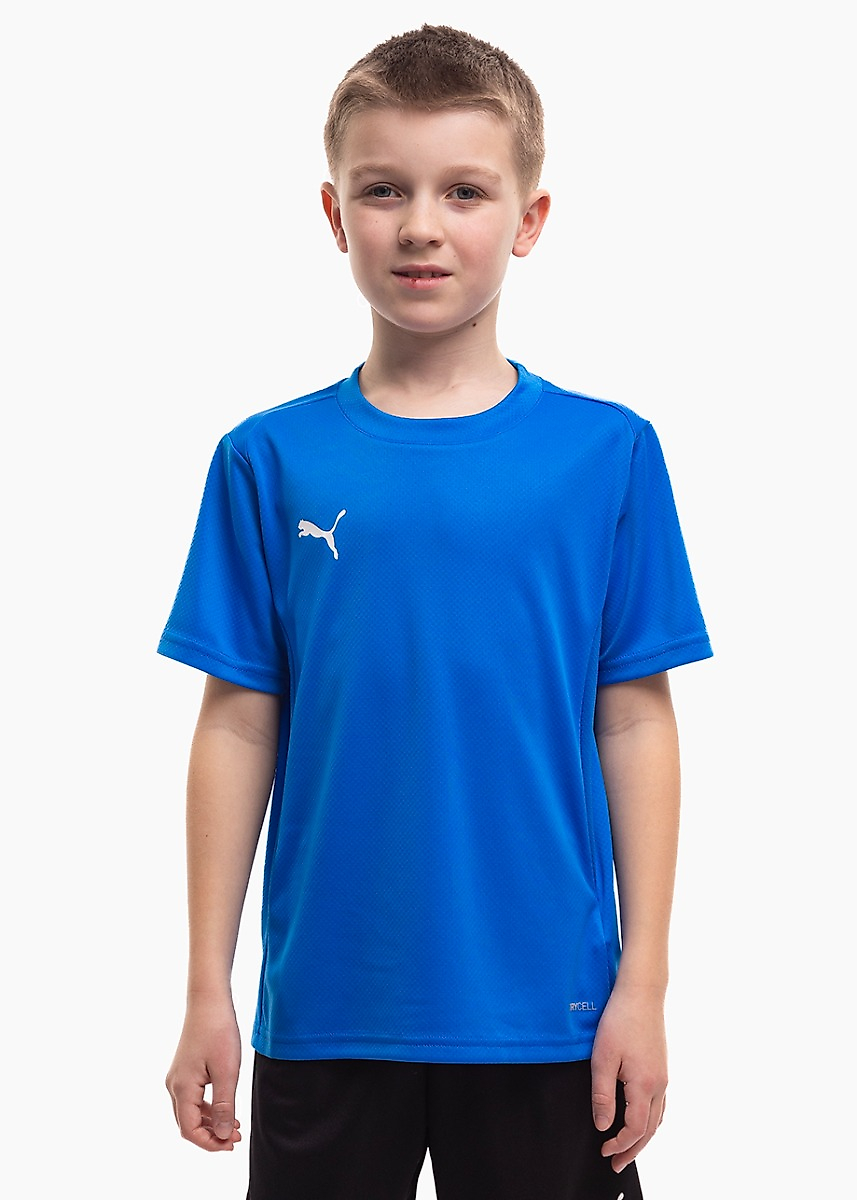 Vaikiški marškinėliai Puma TeamGoal Jersey 658637 02