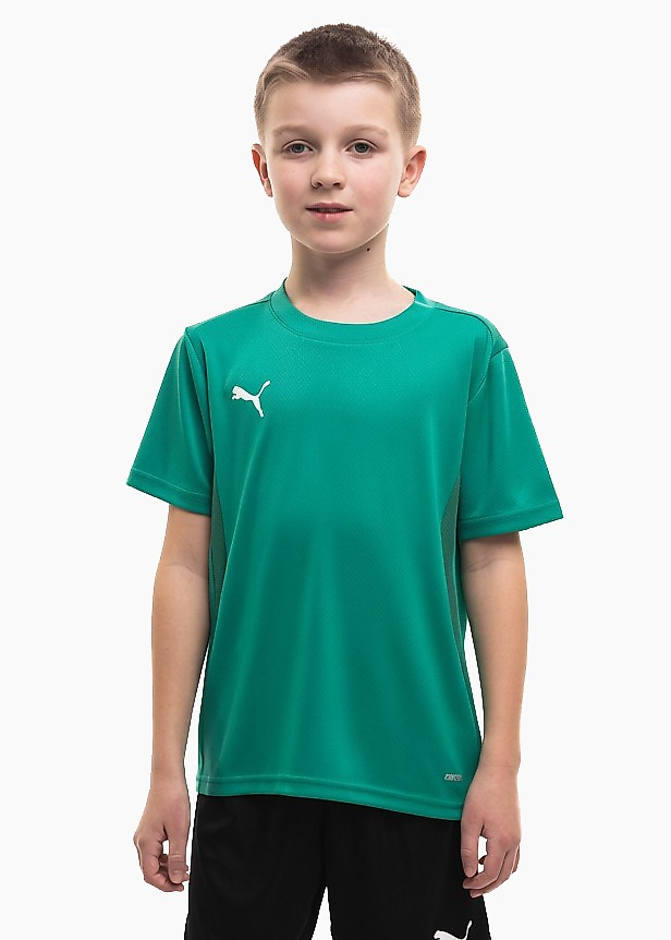 Vaikiški marškinėliai Puma TeamGoal Jersey 658637 05