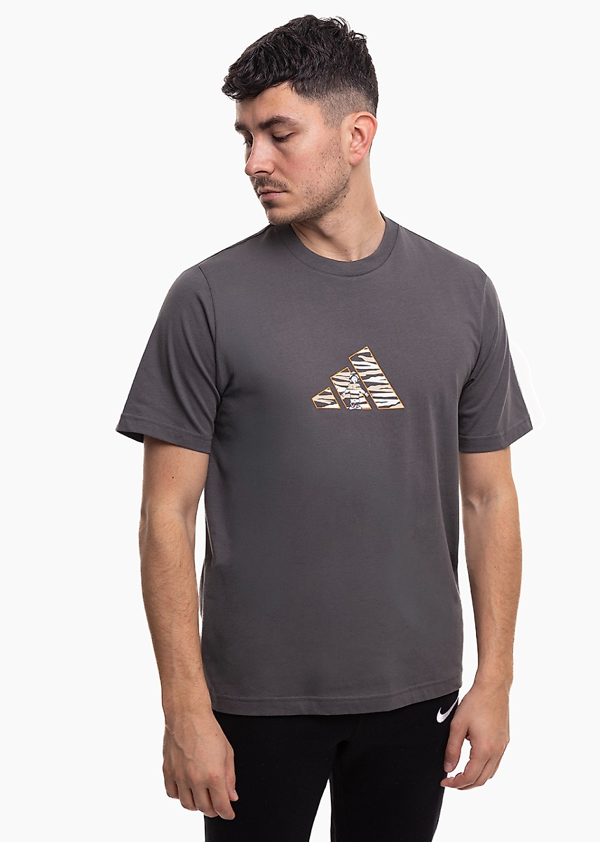 Vyriški marškinėliai adidas Camo Expolorer Graphic JZ7501