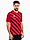 adidas Koszulka męska Entrada 22 Graphic Jersey HB0572 produkto varianto nuotrauka
