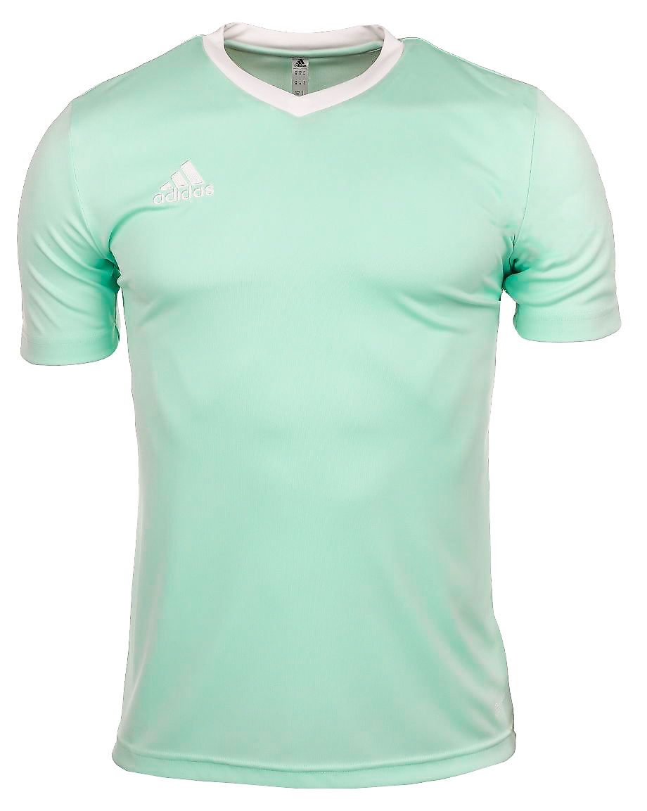 Vyriški marškinėliai adidas Entrada 22 Jersey HC5073
