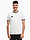 Koszulka męska adidas Entrada 26 Jersey JZ2508 produkto varianto nuotrauka