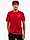 adidas Koszulka męska Essentials Jersey Embroidered Small Logo IC9290 produkto varianto nuotrauka