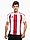 adidas Koszulka męska Striped 24 Jersey IW2142 produkto varianto nuotrauka