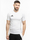 adidas Koszulka męska Tiro 24 Competition Match Jersey IQ4760 produkto varianto nuotrauka