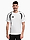 Koszulka męska adidas Tiro 26 League Tee KC3698 produkto varianto nuotrauka