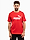 PUMA Koszulka męska Ess No.1 Logo Tee 682532 11 produkto varianto nuotrauka
