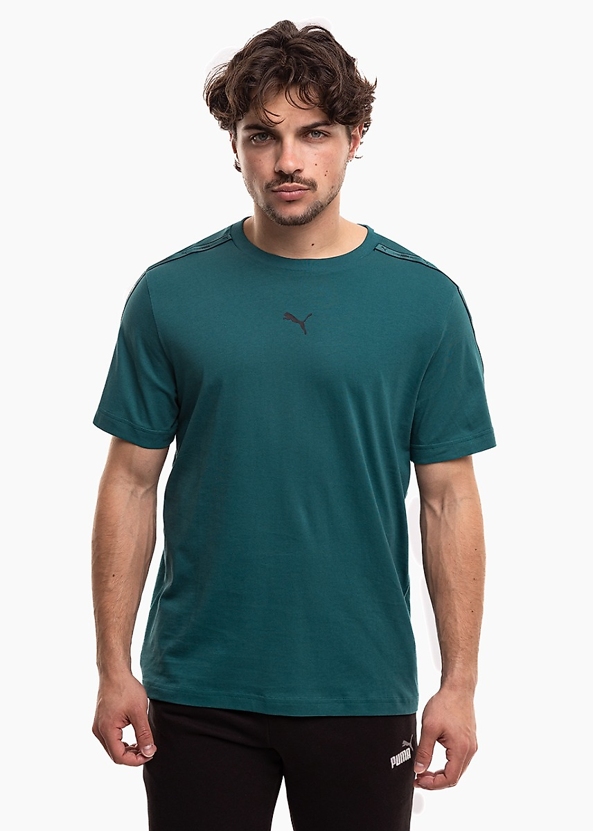 Puma Vyriški marškinėliai Tape Tee 691693 41