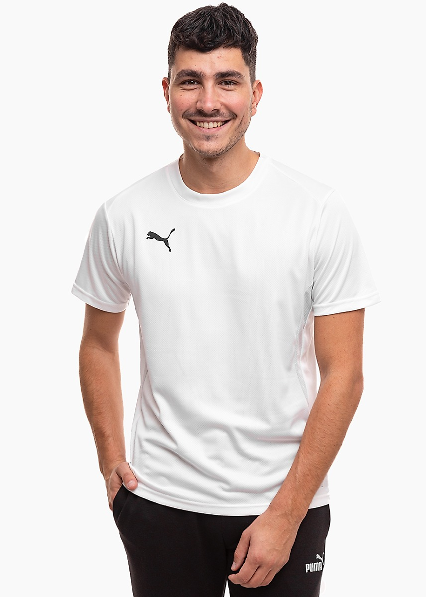 Vyriški marškinėliai Puma TeamGoal Jersey 658636 04