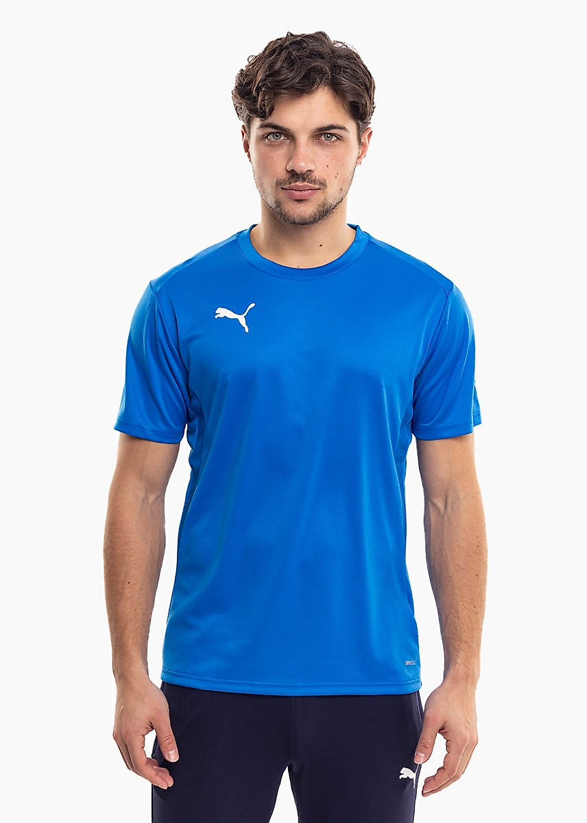 PUMA Vyriškas marškinėlis TeamGoal Jersey 658636 02