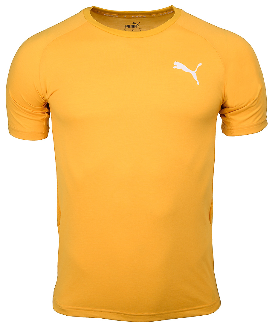 Puma Koszulka męska Evostripe Lite Tee 581534 25