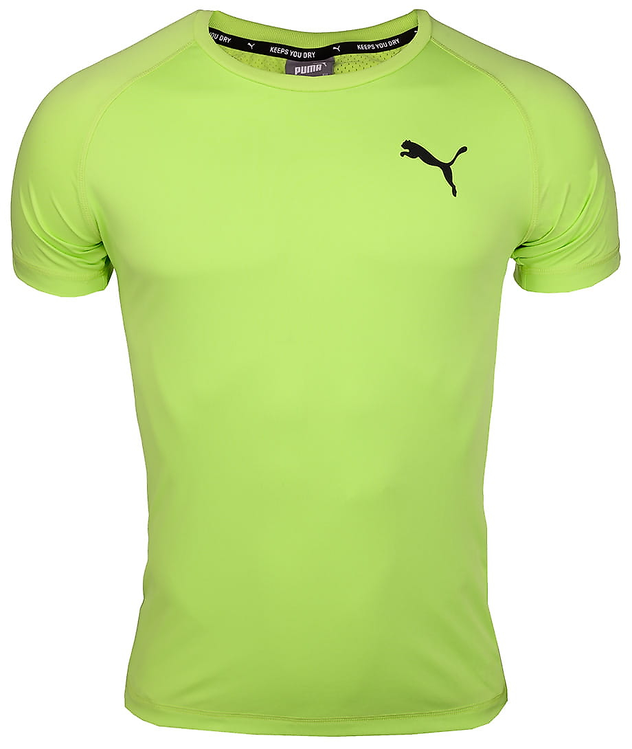 Puma Koszulka męska Rtg Tee Sharp 581504 34