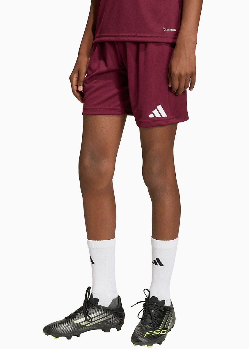 adidas Vaikiški šortai Entrada 26 JZ6527