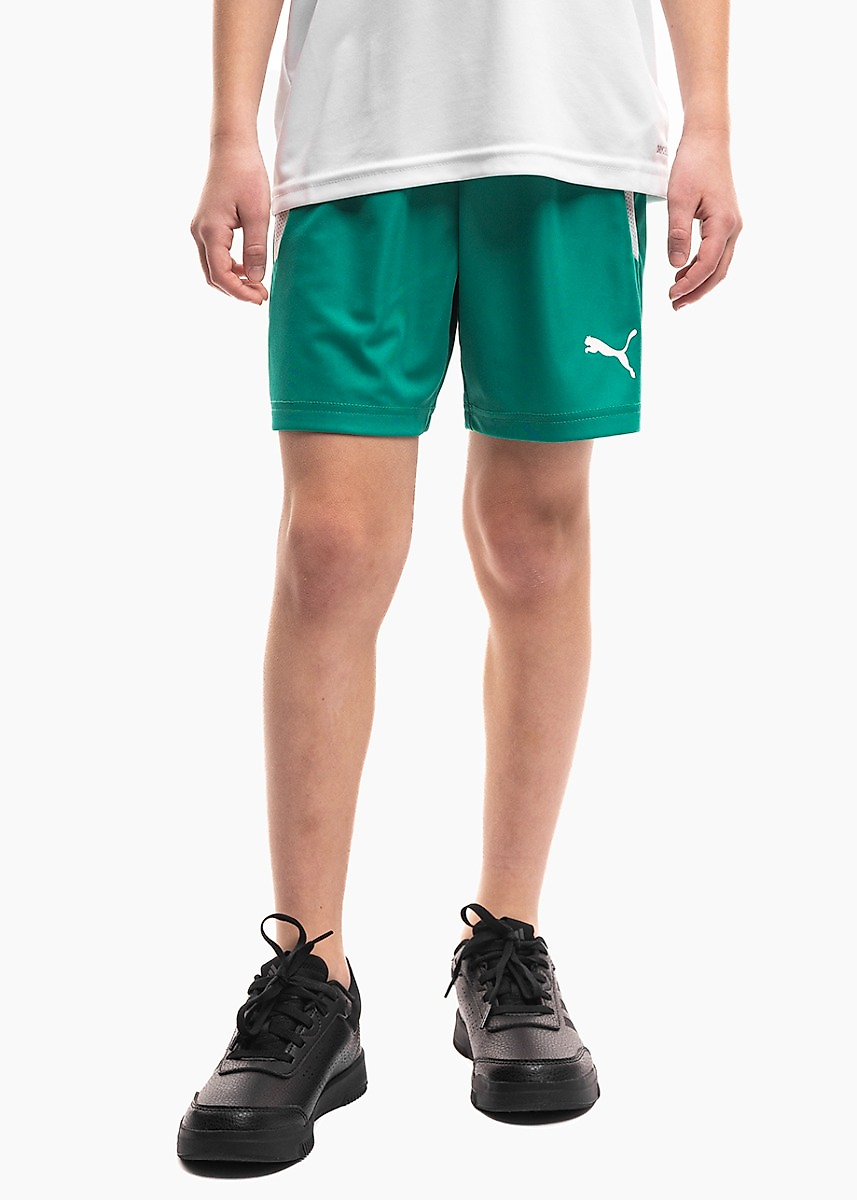Puma Vaikiški šortai teamLIGA Jr 704931 05