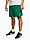 Spodenki męskie Nike Club FQ4359 365 produkto varianto nuotrauka