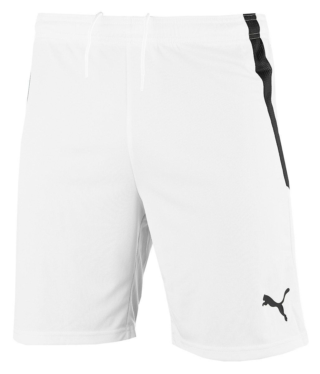 PUMA Vyriški šortai teamLIGA 704924 04