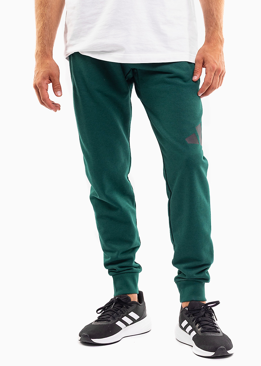 adidas Vyriškos kelnės Essentials Big Logo French Terry JE8971