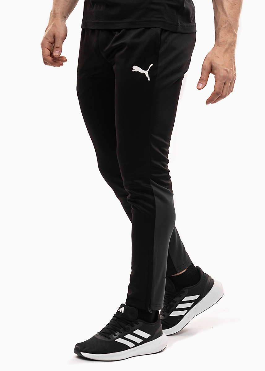 PUMA Spodnie męskie Team Goal Training 658639 03